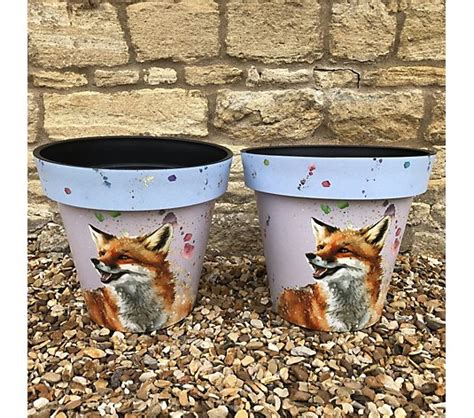 Plants2gardens Fox Planter Pair Qvc Uk