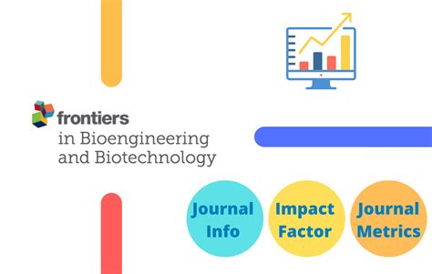 Frontiers In Bioengineering And Biotechnology Impact Factor