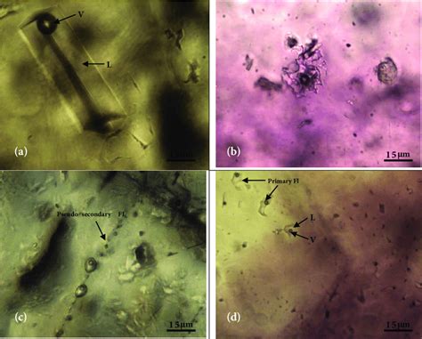 Photomicrographs Of Fluid Inclusions Taken At Room Temperature A A