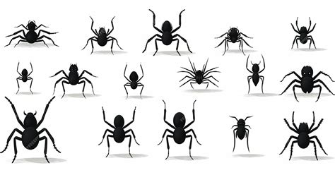 Premium Ai Image Different Types Of Spiders Different Sizes And