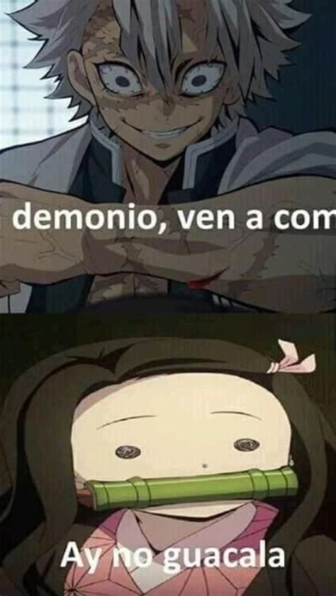 Pin De En Pins Creados Por Ti Meme De Anime Memes De Anime