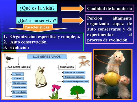 PPT CARACTERISTICAS DE LOS SERES VIVOS PowerPoint Presentation Free