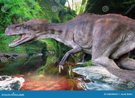 Dinosaurs Are A Group Of Reptiles Of The Dinosauria Stock Image Image