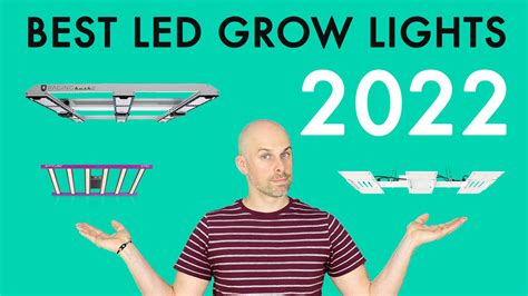 Best Led Grow Lights 2022 Review — Led Grow Lights Depot