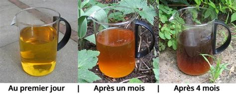 Peut On Utiliser Notre Urine Comme Un Engrais Naturel