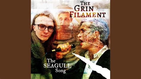 The Seagull Song Youtube