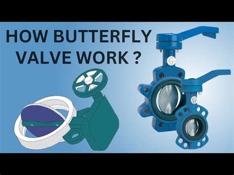 Butterfly Valve How Butterfly Valves Work Butterfly Valve Parts