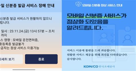 이번엔 모바일 신분증 먹통재난 유형에 국가전산망 마비 명시