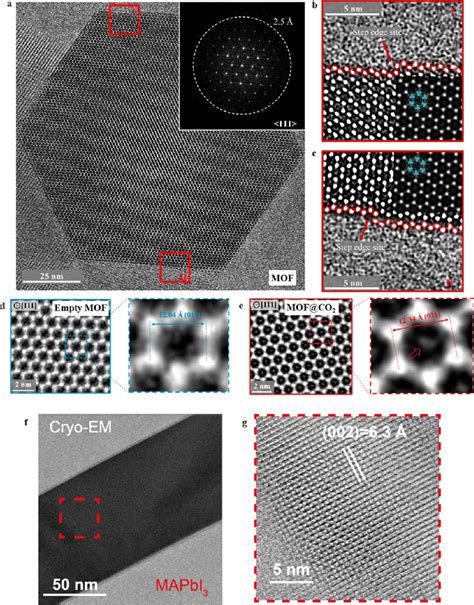 High Resolution Cryo Electron Microscopy Structure Of Block 49 OFF