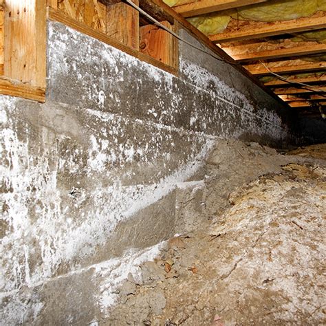 5 Advantages Of Crawl Space Encapsulation Water Extraction Experts