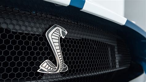 2020 Ford Mustang Shelby Gt500 Everything You Want To Know Car In My