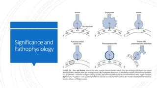 Diffusing Capacity Tests Ppt