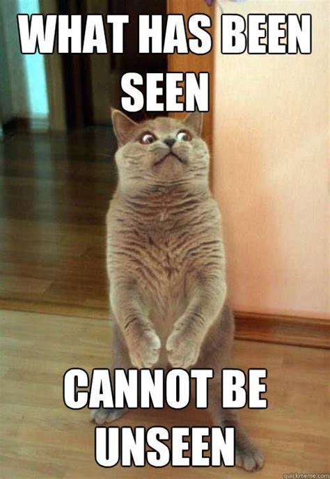 What Has Been Seen Cannot Be Unseen Cute Cat Memes Funny Cat Captions Funny Cat Pictures