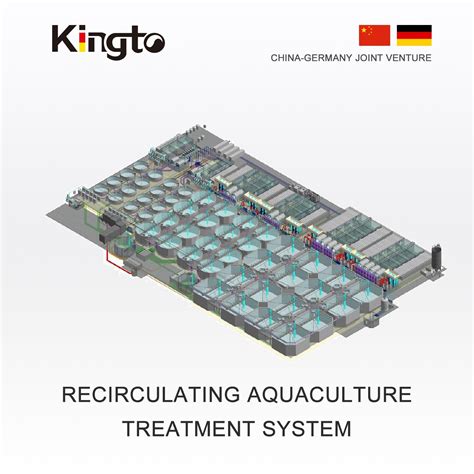 Ras Aquaculture Fish Farm System Equipment And Drum Filter Fish Farm