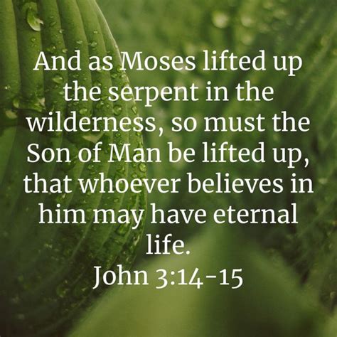 John 3 14 15 And As Moses Lifted Up The Serpent In The Wilderness So