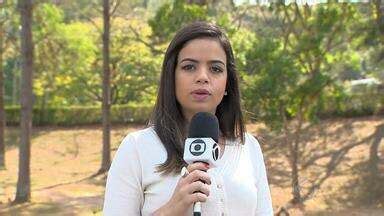 Assistir Bom Dia Minas Zona Da Mata Procon De Vi Osa Mg Orienta