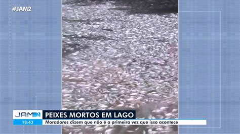 Centenas De Peixes S O Encontrados Mortos Em Lago Na Zona Leste De