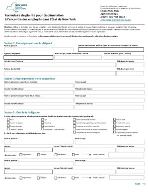 Remplissable En Ligne Nys Discrimination Complaint Form French