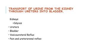 Micturation Reflex Ppt