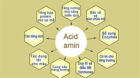 Lý Thuyết Amino Axit Các Gọi Tên Tính Chất Hóa Học ứng Dụng