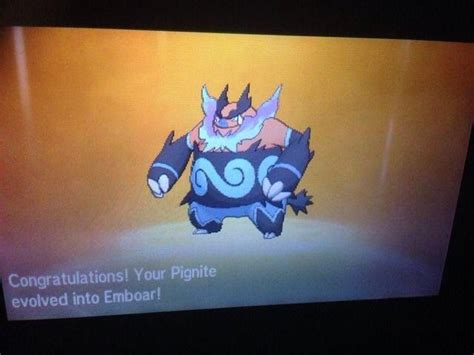 [7] Shiny Tepig only took 41 eggs! : r/ShinyPokemon