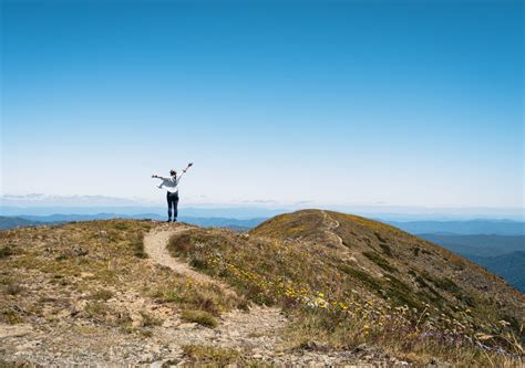 Mount Buller Hikes Guide To The Summer Season Beyond Wild Places