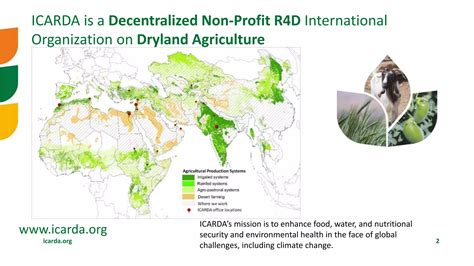 Statements Parallel Oral Thematic Sessions Ii Cereals And Pulses Sustainable Agri Food Systems