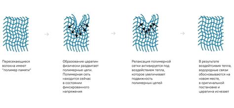 Fenix - GeosIdeal