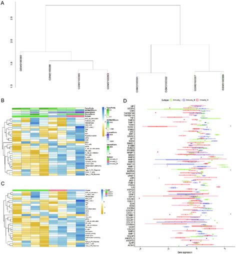 SsGSEA Immune Infiltration Assessment A Immune Clustering Grouping Of