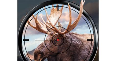 Wild Hunt Hunting Games 3D - Play Free Simulator