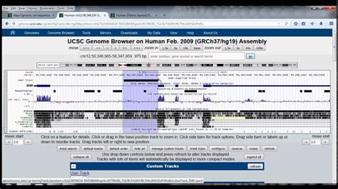 4 UCSC Genome Browser Tutorial Table Browser YouTube