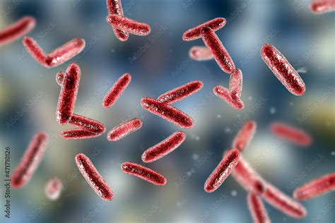 Bacteria Citrobacter Gram Negative Coliform Bacteria From