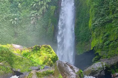 Wisata Alam Trawas Paling Diincar Dan Selalu Ramai Pengunjung Cocok