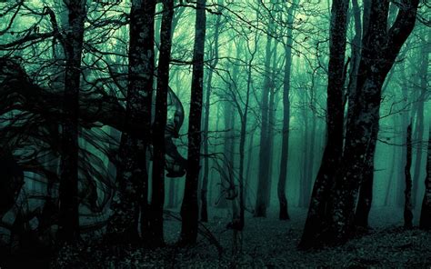 Dark Forest Hd Wallpaper 61 Images