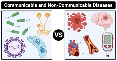 what is non communicable disease - Amelia Hunter