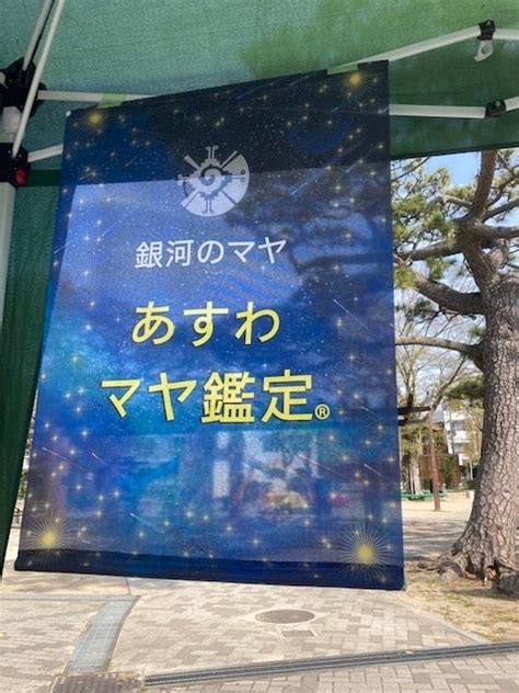 Kin103【黄色い人】の振動域12日目 住吉公園【すみすみマルシェ】マヤ鑑定でイベント出展♪ 銀河のマヤ ツォルキン ★ ミヤ