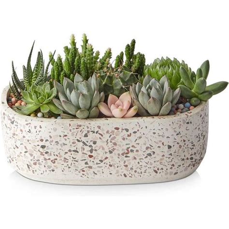 Lifver Pot De Fleur Succulente Pots De Fleurs En C Ramique Cm Avec