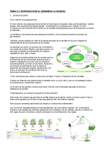 Fisiologia Vegetal Tema Pdf