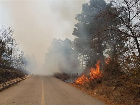 Nl Implementa Acciones De Prevención Contra Incendios Forestales Grupo