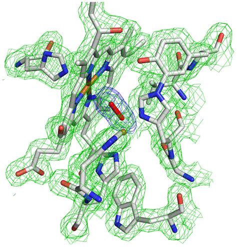 Electron Density Around Active Site 2Fo Fc Electron Density Is Shown