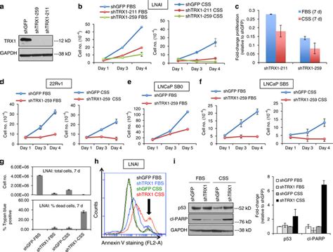 Trx Suppression Inhibits Crpc Cell Proliferation And Promotes