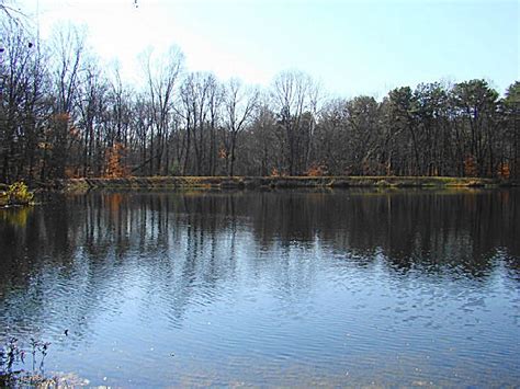 Martin State Forest, an Indiana forest located near Bedford