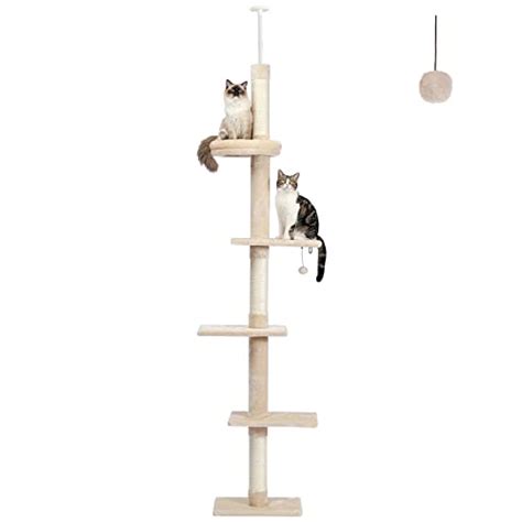 cat climbing tower  vet ranch  love pets