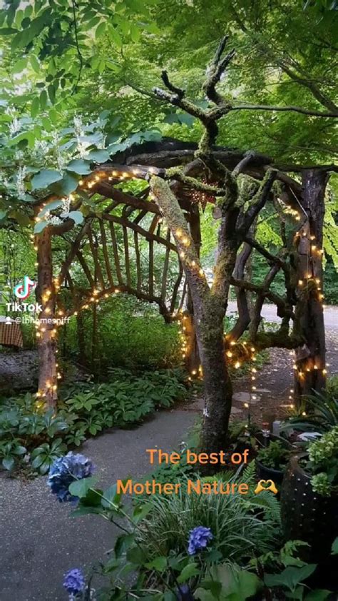 15 Diy Tree Log Ideas For Your Garden 2022 Artofit