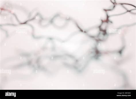 Tangled Background Hi Res Stock Photography And Images Alamy