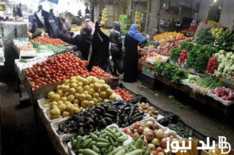 جدول أسعار الخضار اليوم في مصر بتاريخ الأربعاء 8 مايو 2024 في الاسواق