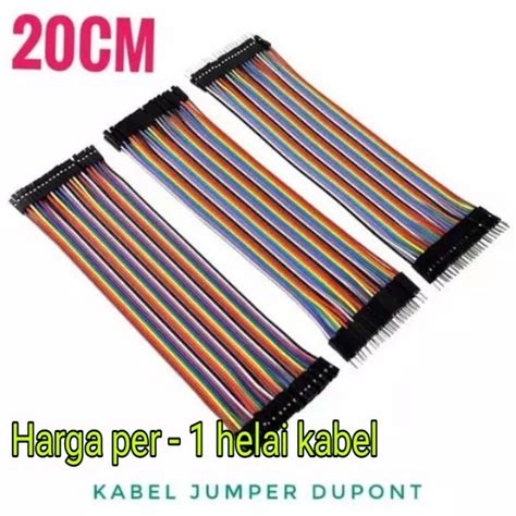 Jual Kabel Jumper Dupont Pelangi 20cm FF FM MM Shopee Indonesia