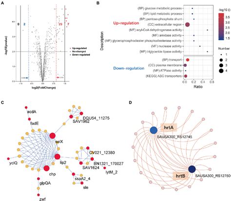 Proteomics Profile Change Of S Aureus Treated With TF A Volcano