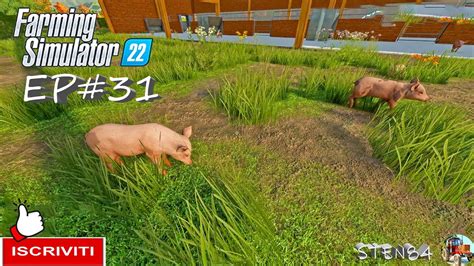 Farming Simulator Ita Ep Prendo I Maialini Raccolta Cotone Map