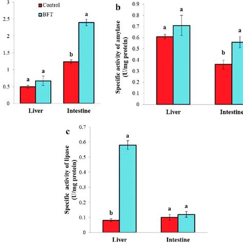 A C Specific Activities Of Protease Amylase And Lipase In The